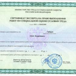 Сертификат эксперта Гайдук О.А.